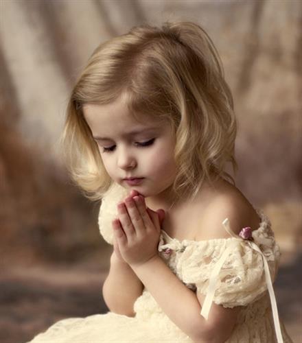 mohammad resa&nbsp;mehr